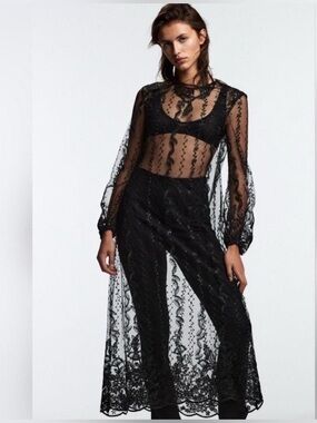 Zara embroidered semi-sheer dress S dark romantic witchy goth